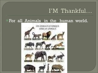 For  all  Animals  in  the  human  world. 