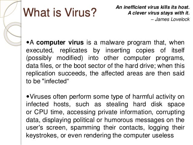 computer virus assignment