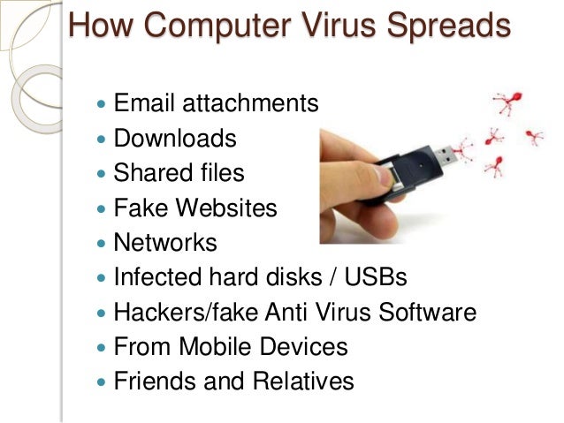 introduction of computer viruses essay