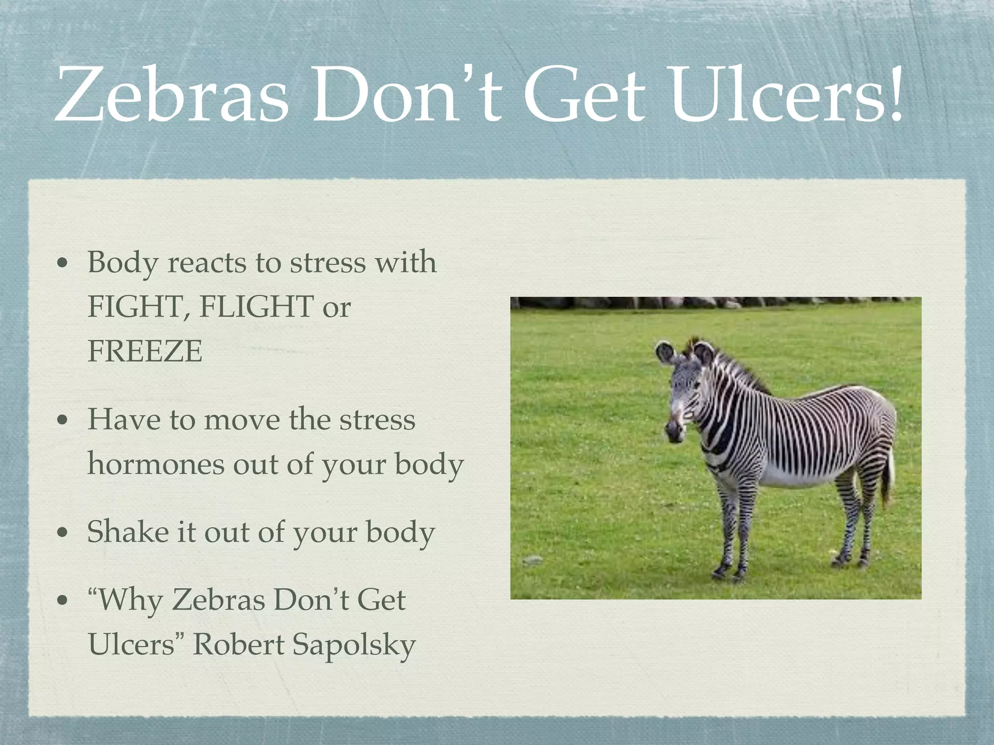 Zebras Don’t Get Ulcers!
•  Body reacts to stress with
FIGHT, FLIGHT or
FREEZE
•  Have to move the stress
hormones out of your body
•  Shake it out of your body
•  “Why Zebras Don’t Get
Ulcers” Robert Sapolsky
 