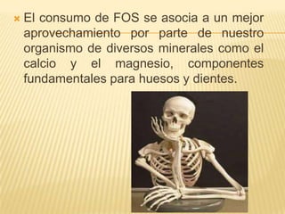    El consumo de FOS se asocia a un mejor
    aprovechamiento por parte de nuestro
    organismo de diversos minerales como el
    calcio y el magnesio, componentes
    fundamentales para huesos y dientes.
 