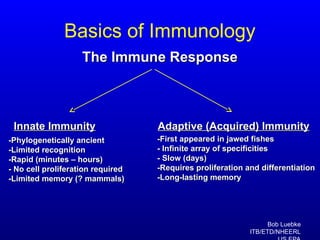 Comprehensive Overview of Immunology: Innate and Adaptive Immunity ...