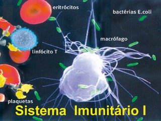Sistema Imunitário I
 