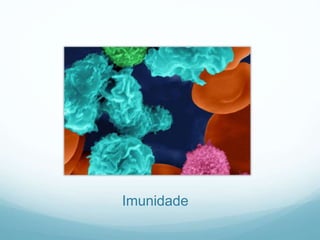 Imunidade
 