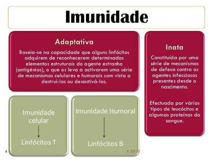 Imunidade inata e adaptativa ppt presentation