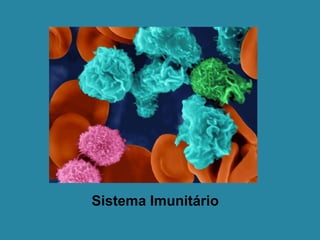 Sistema Imunitário
 