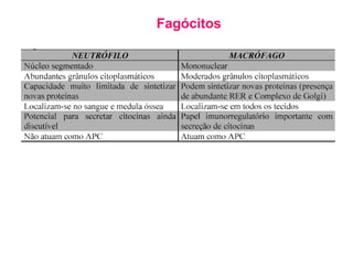 Fagócitos
 