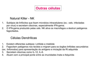 Outras células
Natural Killer - NK
1. Subtipos de linfócitos que lisam microbios intracelulares (ex.: cels. infectadas
por virus) e secretam citocinas, especialmente IFN-gama.
2. O IFN-gama produzido pelas cels. NK ativa os macrofagos a destruir patógenos
fagocitados.
Células Dendríticas
1. Existem diferentes subtipos: Linfóide e mielóide
2. Fagocitam patógenos nos tecidos e migram para os órgãos linfóides secundários
(ex.: linfonodos) para apresentação do antígeno e iniciação da RI adquirida
3. Secretam citocinas como IL-12, IL-6.
4. Atuam com a principal ponte entre as imunidades Inata e Adquirida
 