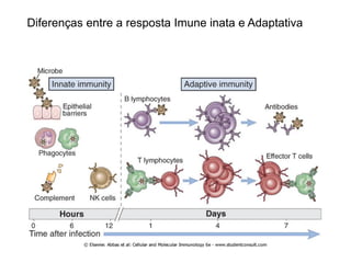 Diferenças entre a resposta Imune inata e Adaptativa
 