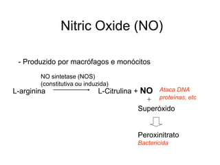 Nitric Oxide (NO)
- Produzido por macrófagos e monócitos
L-arginina L-Citrulina + NO
NO sintetase (NOS)
(constitutiva ou induzida)
Superóxido
Peroxinitrato
Bactericida
+
Ataca DNA
proteínas, etc
 