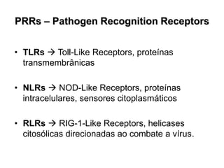 PRRs – Pathogen Recognition Receptors
• TLRs  Toll-Like Receptors, proteínas
transmembrânicas
• NLRs  NOD-Like Receptors, proteínas
intracelulares, sensores citoplasmáticos
• RLRs  RIG-1-Like Receptors, helicases
citosólicas direcionadas ao combate a vírus.
 