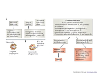 ICSA17 - Imunidade inata
