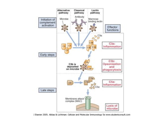 ICSA17 - Imunidade inata