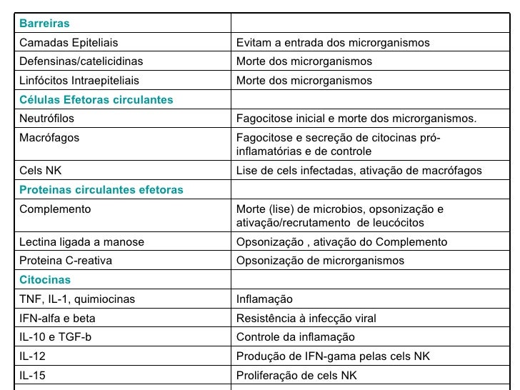 Imagem relacionada