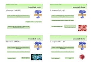 Imunidade Inata
5
 Receptores TOLL-LIKE
PAMPs = PADRÕES MOLECULARES ASSOCIADOS A
PATÓGENOS
IMUNIDADE INATA E IMUNIDADE ADQUIRIDA
Sinal de invasão de um agente patogênico
RESPOSTA PRÓ-INFLAMATÓRIA = PRODUÇÃO DE
PROTEÍNAS E CITOCINAS
Imunidade Inata
6
 Receptores TOLL-LIKE
PAMPs = PADRÕES MOLECULARES ASSOCIADOS A
PATÓGENOS
IMUNIDADE INATA E IMUNIDADE ADQUIRIDA
Estruturas microbianas comuns e não há nas céls. animais
Ex: lipopolissarídeos (LPS)
Componente estrutural
(bactérias gram negativas)
Imunidade Inata
7
 Receptores TOLL-LIKE
PAMPs = PADRÕES MOLECULARES ASSOCIADOS A
PATÓGENOS
IMUNIDADE INATA E IMUNIDADE ADQUIRIDA
Estruturas microbianas comuns e não há nas céls. animais
Resíduos de manose
Paredes celulares
(bactérias e fungos)
Imunidade Inata
8
 Receptores TOLL-LIKE
PAMPs = PADRÕES MOLECULARES ASSOCIADOS A
PATÓGENOS
IMUNIDADE INATA E IMUNIDADE ADQUIRIDA
Estruturas microbianas comuns e não há nas céls. animais
RNA dupla-hélice Vírus
 
