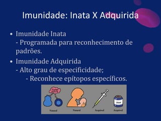 Imunidade: Inata X Adquirida
• Imunidade Inata
- Programada para reconhecimento de
padrões.
• Imunidade Adquirida
- Alto grau de especificidade;
- Reconhece epítopos específicos.
 