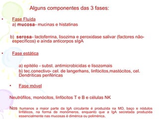 Alguns componentes das 3 fases:
• Fase Fluída
a) mucosa- mucinas e histatinas
b) serosa- lactoferrina, lisozima e peroxidase salivar (factores não-
específicos) e aínda anticorpos sIgA
• Fase estática
a) epitélio - subst. antimicrobicidas e lisozomais
b) tec.conectivo- cel. de langerhans, linfócitos,mastócitos, cel.
Dendríticas periféricas
• Fase móvel
Neutrófilos, monócitos, linfócitos T e B e células NK
Nos humanos a maior parte da IgA circulante é produzida na MO, baço e nódulos
linfáticos, na forma de monómeros, enquanto que a IgA secretada produzida
essencialmente nas mucosas é dimérica ou polimérica.
 