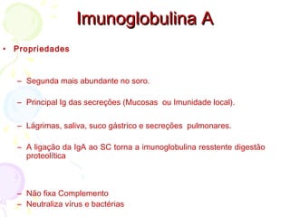 Imunoglobulina AImunoglobulina A
• Propriedades
– Segunda mais abundante no soro.
– Principal Ig das secreções (Mucosas ou Imunidade local).
– Lágrimas, saliva, suco gástrico e secreções pulmonares.
– A ligação da IgA ao SC torna a imunoglobulina resstente digestão
proteolítica
– Não fixa Complemento
– Neutraliza vírus e bactérias
 