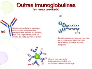 Outras imunoglobulinasOutras imunoglobulinas
(em menor quantidade)(em menor quantidade)
Ocorre normalmente
Pode substituir a IgA em
indivíduos deficientes de IgA.
Níveis muitos baixos nas áreas
de mucosas, não pode ser
transportada através do epitélio,
mas tem importante papel na
defesa do trato pulmonar distal.
Sintetizada nos tecidos de mucosa
particularmente nas infecções
parasitárias e certos estados
alérgicos.
 