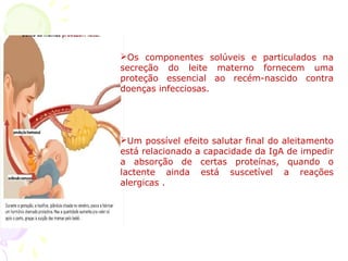 Os componentes solúveis e particulados na
secreção do leite materno fornecem uma
proteção essencial ao recém-nascido contra
doenças infecciosas.
Um possível efeito salutar final do aleitamento
está relacionado a capacidade da IgA de impedir
a absorção de certas proteínas, quando o
lactente ainda está suscetível a reações
alergicas .
 