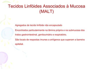 Tecidos Linfóides Associados à Mucosa
(MALT)
Agregados de tecido linfóide não encapsulado
Encontrados particularmente na lâmina própria e na submucosa dos
tratos gastrointestinal, genitourinário e respiratório.
São locais de respostas imunes a antígenos que superam a barreira
epitelial.
 