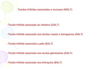 Tecidos linfóides associados a mucosas (MALT):
-Tecido linfóide associado ao intestino (GALT)
-Tecido linfóide associado aos tecidos nasais e faringeanos (NALT)
-Tecido linfóide associado a pele (SALT)
-Tecido linfóide associado aos ductos glandulares (DALT)
-Tecido linfóide associado aos brônquios (BALT)
 