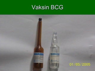 Vaksin BCG 
