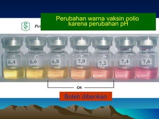 Perubahan warna vaksin polio  karena perubahan pH Boleh diberikan 