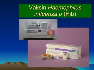 Vaksin  Haemophilus influenza b  (Hib) 