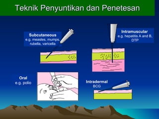 Teknik  Penyuntikan dan Penetesan Oral e.g.   polio Subcutaneous e.g. measles, mumps, rubella, varicella Intramuscular   e.g. hepatitis A and B, DTP Intradermal BCG 