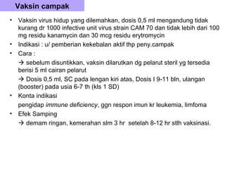 Vaksin campak
•   Vaksin virus hidup yang dilemahkan, dosis 0,5 ml mengandung tidak
    kurang dr 1000 infective unit virus strain CAM 70 dan tidak lebih dari 100
    mg residu kanamycin dan 30 mcg residu erytromycin
•   Indikasi : u/ pemberian kekebalan aktif thp peny.campak
•   Cara :
     sebelum disuntikkan, vaksin dilarutkan dg pelarut steril yg tersedia
    berisi 5 ml cairan pelarut
     Dosis 0,5 ml, SC pada lengan kiri atas, Dosis I 9-11 bln, ulangan
    (booster) pada usia 6-7 th (kls 1 SD)
•   Konta indikasi
    pengidap immune deficiency, ggn respon imun kr leukemia, limfoma
•   Efek Samping
     demam ringan, kemerahan slm 3 hr setelah 8-12 hr stlh vaksinasi.
 