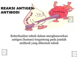 REAKSI ANTIGEN-
ANTIBODI




    Keberhasilan tubuh dalam menghancurkan
     antigen (kuman) tergantung pada jumlah
           antibodi yang dibentuk tubuh
 
