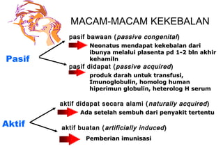 MACAM-MACAM KEKEBALAN
           pasif bawaan ( passive congenital )
                 Neonatus mendapat kekebalan dari
                 ibunya melalui plasenta pd 1-2 bln akhir
Pasif            kehamiln
           pasif didapat ( passive acquired )
                 produk darah untuk transfusi,
                 Imunoglobulin, homolog human
                 hiperimun globulin, heterolog H serum

        aktif didapat secara alami ( naturally acquired )
              Ada setelah sembuh dari penyakit tertentu

Aktif   aktif buatan ( artificially induced )
                Pemberian imunisasi
 