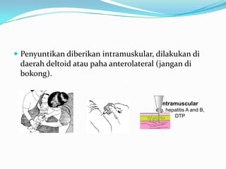  Penyuntikan diberikan intramuskular, dilakukan di
daerah deltoid atau paha anterolateral (jangan di
bokong).
Intramuscular
e.g. hepatitis A and B,
DTP
 