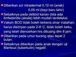Diberikan ssccrr iinnttrraaddeerrmmaall 00,,1100 mmll (aannaakk)) 
00,,0055 mmll (bbaayyii bbaarruu llaahhiirr)) 
SSeebbaaiikknnyyaa ppaaddaa ddeellttooiidd kkaannaann (bbiillaa aaddaa 
lliimmffaaddeenniittiiss (aakkssiillaa)) lleebbiihh mmuuddaahh tteerrddeetteekkssii.. 
VVaakkssiinn BBCCGG ttiiddaakk bboolleehh tteerrkkeennaa ssiinnaarr mmaattaahhaarrii,, 
hhaarruuss ddiissiimmppaann ppaaddaa 22--88oo CC,, ttiiddaakk bboolleehh bbeekkuu,, 
yyaanngg tteellaahh ddiieenncceerrkkaann hhrrss ddiibbuuaanngg ddllmm 88 jjaamm.. 
DDiibbeerriikkaann ppaaddaa uummuurr kkuurraanngg aattaauu tteeppaatt 22 
bbuullaann.. 
SSeebbaaiikknnyyaa ddiibbeerriikkaann ppaaddaa aannaakk ddeennggaann uujjii 
MMaannttoouuxx (ttuubbeerrkkuulliinn)) nneeggaattiiff.. 
 
