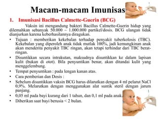 Macam-macam Imunisasi
1. Imunisasi Bacillus Calmette-Guerin (BCG)
Vaksin ini mengandung bakteri Bacillus Calmette-Guerin hidup yang
dilemahkan sebanyak 50.000 – 1.000.000 partikel/dosis. BCG ulangan tidak
dianjurkan karena keberhasilannya diragukan.
• Tujuan : memberikan kekebalan terhadap penyakit tuberkolosis (TBC).
Kekebalan yang diperoleh anak tidak mutlak 100%, jadi kemungkinan anak
akan menderita penyakit TBC ringan, akan tetapi terhindar dari TBC berat-
ringan.
• Disuntikkan secara intrakutan, maksudnya disuntikkan ke dalam lapisan
kulit (bukan di otot). Bila penyuntikan benar, akan ditandai kulit yang
menggelembung.
• Tempat penyuntikan : pada lengan kanan atas.
• Cara pemberian dan Dosis :
• Sebelum disuntikkan vaksin BCG harus dilarutkan dengan 4 ml pelarut NaCl
0,9%. Melarutkan dengan menggunakan alat suntik steril dengan jarum
panjang.
• 0,05 ml pada bayi kurang dari 1 tahun, dan 0,1 ml pada anak.
• Diberikan saat bayi berusia < 2 bulan.
 