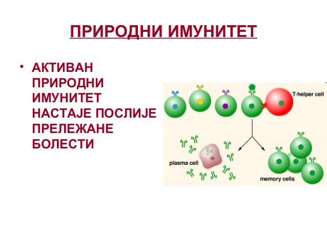 Imuni sistem