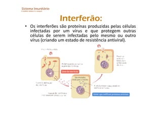 Imunitario Pdf