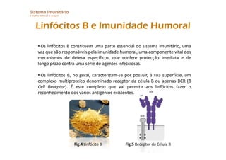 Imunitario Pdf