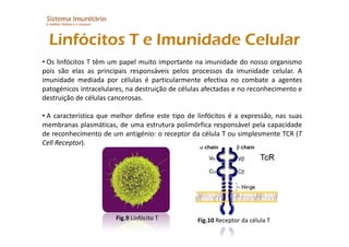 Imunitario Pdf