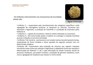 Imunitario Pdf