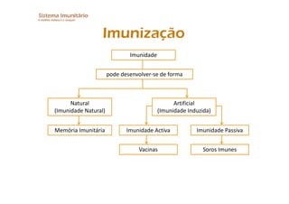 Imunitario Pdf