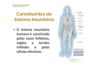 Imunitario Pdf