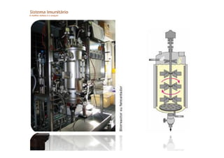 Imunitario Pdf