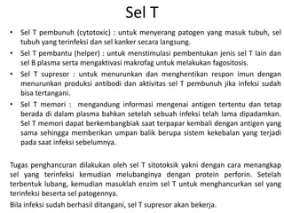 Sel T
• Sel T pembunuh (cytotoxic) : untuk menyerang patogen yang masuk tubuh, sel
tubuh yang terinfeksi dan sel kanker secara langsung.
• Sel T pembantu (helper) : untuk menstimulasi pembentukan jenis sel T lain dan
sel B plasma serta mengaktivasi makrofag untuk melakukan fagositosis.
• Sel T supresor : untuk menurunkan dan menghentikan respon imun dengan
menurunkan produksi antibodi dan aktivitas sel T pembunuh jika infeksi sudah
bisa tertangani.
• Sel T memori : mengandung informasi mengenai antigen tertentu dan tetap
berada di dalam plasma bahkan setelah sebuah infeksi telah lama dipadamkan.
Sel T memori dapat berkembangbiak saat terpapar kembali dengan antigen yang
sama sehingga memberikan umpan balik berupa sistem kekebalan yang terjadi
pada saat infeksi sebelumnya.
Tugas penghancuran dilakukan oleh sel T sitotoksik yakni dengan cara menangkap
sel yang terinfeksi kemudian melubanginya dengan protein perforin. Setelah
terbentuk lubang, kemudian masuklah enzim sel T untuk menghancurkan sel yang
terinfeksi beserta sel patogennya.
Bila infeksi sudah berhasil ditangani, sel T supresor akan bekerja.
 
