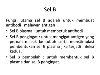 Sel B
Fungsi utama sel B adalah untuk membuat
antibodi melawan antigen
• Sel B plasma : untuk membetuk antibodi
• Sel B pengingat : untuk mengigat antigen yang
pernah masuk ke tubuh serta menstimulasi
pembentukan sel B plasma jika terjadi infeksi
kedua.
• Sel B pembelah : untuk membentuk sel B
plasma dan sel B pengingat.
 