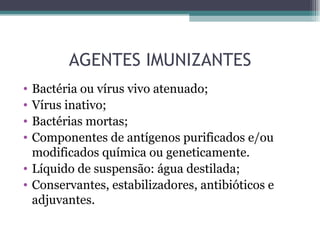 AGENTES IMUNIZANTES
• Bactéria ou vírus vivo atenuado;
• Vírus inativo;
• Bactérias mortas;
• Componentes de antígenos purificados e/ou
  modificados química ou geneticamente.
• Líquido de suspensão: água destilada;
• Conservantes, estabilizadores, antibióticos e
  adjuvantes.
 