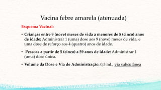 Vacina febre amarela (atenuada)
Esquema Vacinal:
• Crianças entre 9 (nove) meses de vida a menores de 5 (cinco) anos
de idade: Administrar 1 (uma) dose aos 9 (nove) meses de vida, e
uma dose de reforço aos 4 (quatro) anos de idade.
• Pessoas a partir de 5 (cinco) a 59 anos de idade: Administrar 1
(uma) dose única.
• Volume da Dose e Via de Administração: 0,5 mL, via subcutânea
 