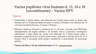 Vacina papiloma vírus humano 6, 11, 16 e 18
(recombinante) – Vacina HPV
Esquema:
• Administrar 2 (duas) doses, com intervalo de 6 (seis) meses entre as doses, nas
meninas de 9 a 14 anos de idade (14 anos, 11 meses e 29 dias) e nos meninos de 11
a 14 anos de idade (14 anos, 11 meses e 29 dias).
• Meninos, meninas, homens e mulheres de 9 a 26 anos, vivendo com HIV/Aids,
transplantados de órgãos sólidos e de medula óssea e pacientes oncológicos,
administrar 3 (três) doses da vacina com intervalo de 2 (dois) meses entre a
primeira e segunda dose e 6 (seis) meses entre a primeira e terceira dose (0, 2 e 6
meses). Para a vacinação deste grupo, mantém-se a necessidade de prescrição
médica.
• Volume da Dose e Via de Administração: 0,5 mL, intramuscular.
 