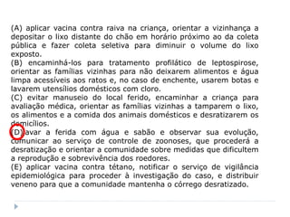 (A) aplicar vacina contra raiva na criança, orientar a vizinhança a
depositar o lixo distante do chão em horário próximo ao da coleta
pública e fazer coleta seletiva para diminuir o volume do lixo
exposto.
(B) encaminhá-los para tratamento profilático de leptospirose,
orientar as famílias vizinhas para não deixarem alimentos e água
limpa acessíveis aos ratos e, no caso de enchente, usarem botas e
lavarem utensílios domésticos com cloro.
(C) evitar manuseio do local ferido, encaminhar a criança para
avaliação médica, orientar as famílias vizinhas a tamparem o lixo,
os alimentos e a comida dos animais domésticos e desratizarem os
domicílios.
(D)lavar a ferida com água e sabão e observar sua evolução,
comunicar ao serviço de controle de zoonoses, que procederá a
desratização e orientar a comunidade sobre medidas que dificultem
a reprodução e sobrevivência dos roedores.
(E) aplicar vacina contra tétano, notificar o serviço de vigilância
epidemiológica para proceder à investigação do caso, e distribuir
veneno para que a comunidade mantenha o córrego desratizado.
 